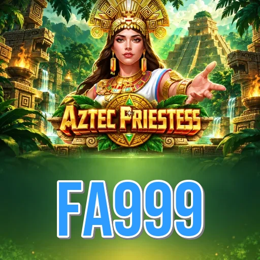 Developer Info fa999